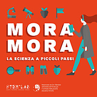 MORA MORA