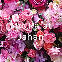 Mrs.Rafat Jahan