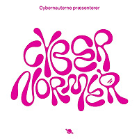 Cybernormer