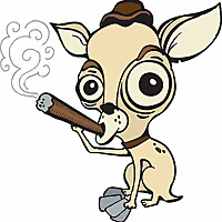 Tales of the Smoking Chihuahua