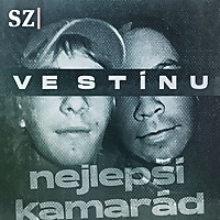 Ve stínu