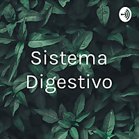 Sistema Digestivo