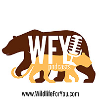 Wildlife for You