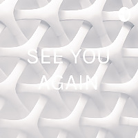 SEE YOU AGAIN