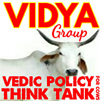 Vidya Group Podcast