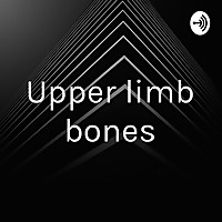 Upper limb bones