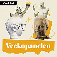Veckopanelen