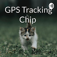 GPS Tracking Chip