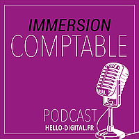 Immersion Comptable