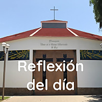 Reflexión del día