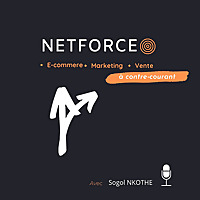 Netforce: l'e-commerce, le marketing et la vente à contre-courants
