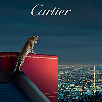 Cartier Confidential