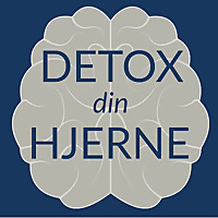 Detox Din Hjerne