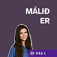 Málið er