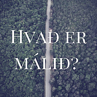 Hvað er málið?