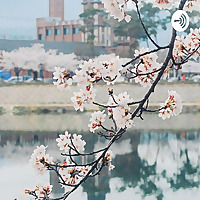 Learning Korean