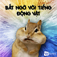 Bất Ngờ Với Tiếng Động Vật