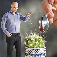 Le cactus