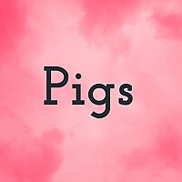 Pigs