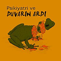 Psikiyatri ve Duvarın Ardı