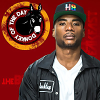 Donkey of the Day
