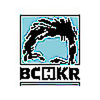 Bochkor