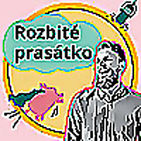 Rozbité prasátko