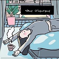 يوميات بطة