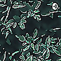 THE ENVIRON - MENTALIST