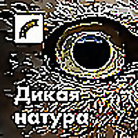 Дикая натура