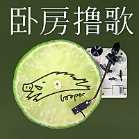 卧房撸歌