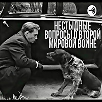 Нестыдные вопросы о Второй Мировой войне