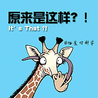原来是这样 Dscience