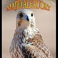 ماجد الفاعوري's Podcast