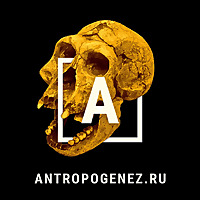 АНТРОПОГЕНЕЗ.РУ