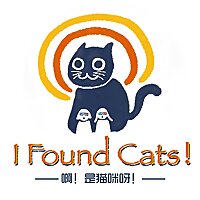 啊！是猫咪呀