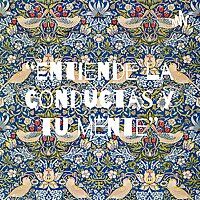 “Entiende la conductas y tu mente”