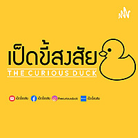 เป็ดขี้สงสัย