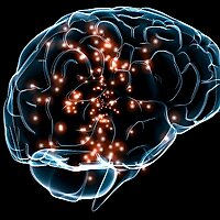 La neurociencia cognitiva.(Ruth Adames).