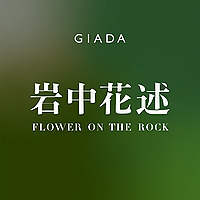 岩中花述