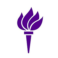 LawsFlaws - NYU Journal of Legislation and Public Policy