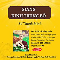 Sư Thanh Minh và các bài giảng Phật Pháp thuộc Kinh Nikaya