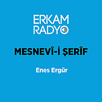 MESNEVÎ-İ ŞERÎF