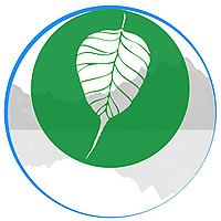 Somatic Primer Podcast