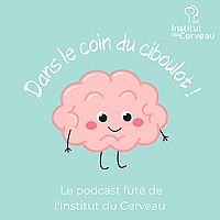 Dans le coin du ciboulot !