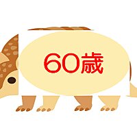 60歳のアルマジロ