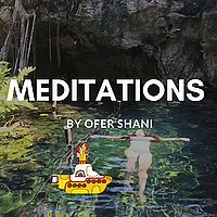 Meditations by Ofer Shani