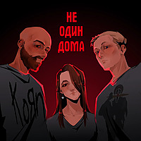 Не один дома