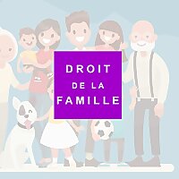 Droit de la famille Actualité