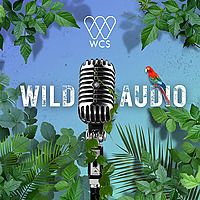 WCS Wild Audio